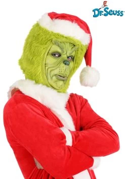 Dr. Seuss The Grinch Costume Mask For Adults