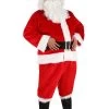 Adult Santa Plus Size Costume