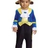 Disguise Beauty And The Beast Posh Beast Costume For Infants -Halloween Costume Shop beauty and the beast infant posh beast costume