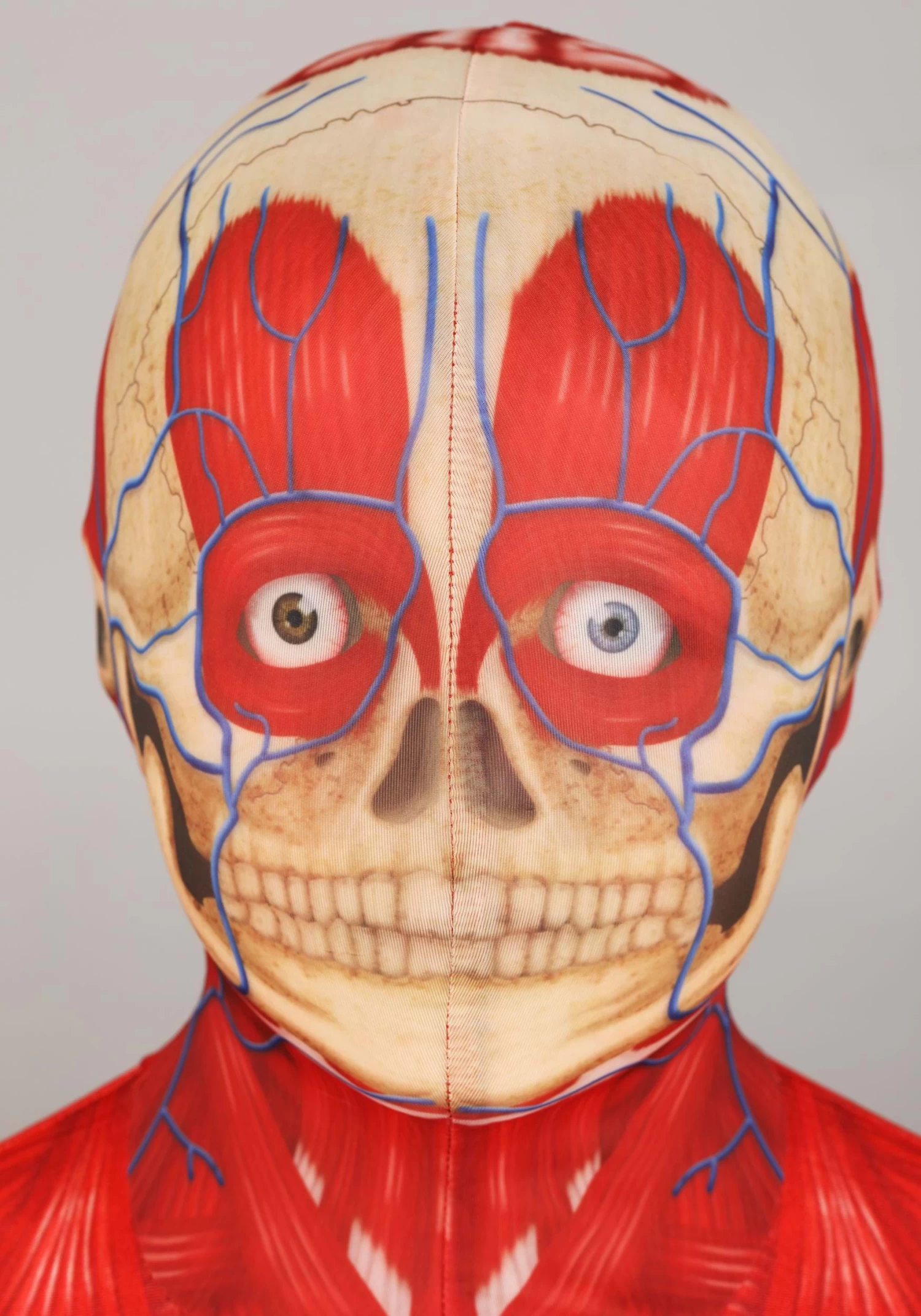 Anatomical Model Costume For Kids 5 Anatomical Model Costume For Kids - Image 3