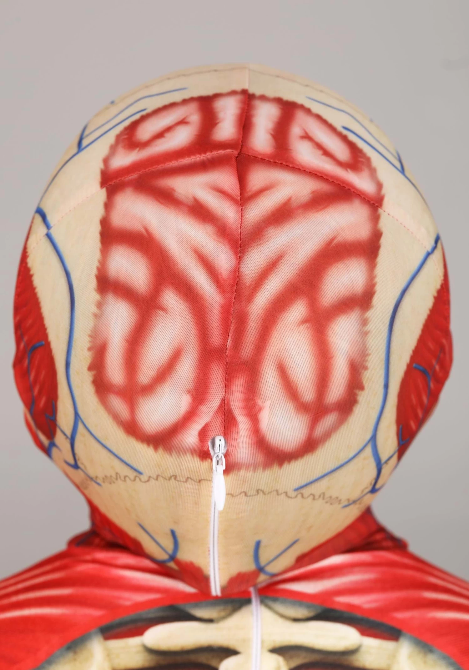 Anatomical Model Costume For Kids 6 Anatomical Model Costume For Kids - Image 4