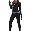 Catwoman Classic Series Grand Heritage Costume