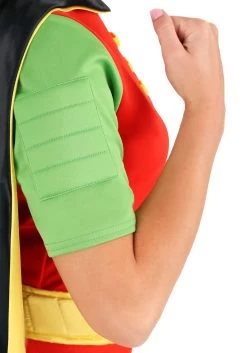 DC Womens Robin Costume -Halloween Costume Shop dc womens robin costume 6