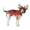 Reindeer Pet Dog Costume 2 Reindeer Pet Dog Costume -Halloween Costume Shop dog reindeer costume