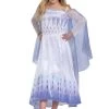 Disguise Deluxe Frozen Snow Queen Elsa Kids Costume -Halloween Costume Shop frozen snow queen elsa deluxe costume for kids