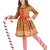 Gingerbread Costume Dress For Girls -Halloween Costume Shop girls gingerbread costume dress