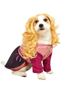 Pet's Hocus Pocus Sarah Sanderson Pet Costume