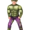 Deluxe Incredible Hulk Toddler Costume 2 Deluxe Incredible Hulk Toddler Costume -Halloween Costume Shop incredible hulk deluxe toddler costume