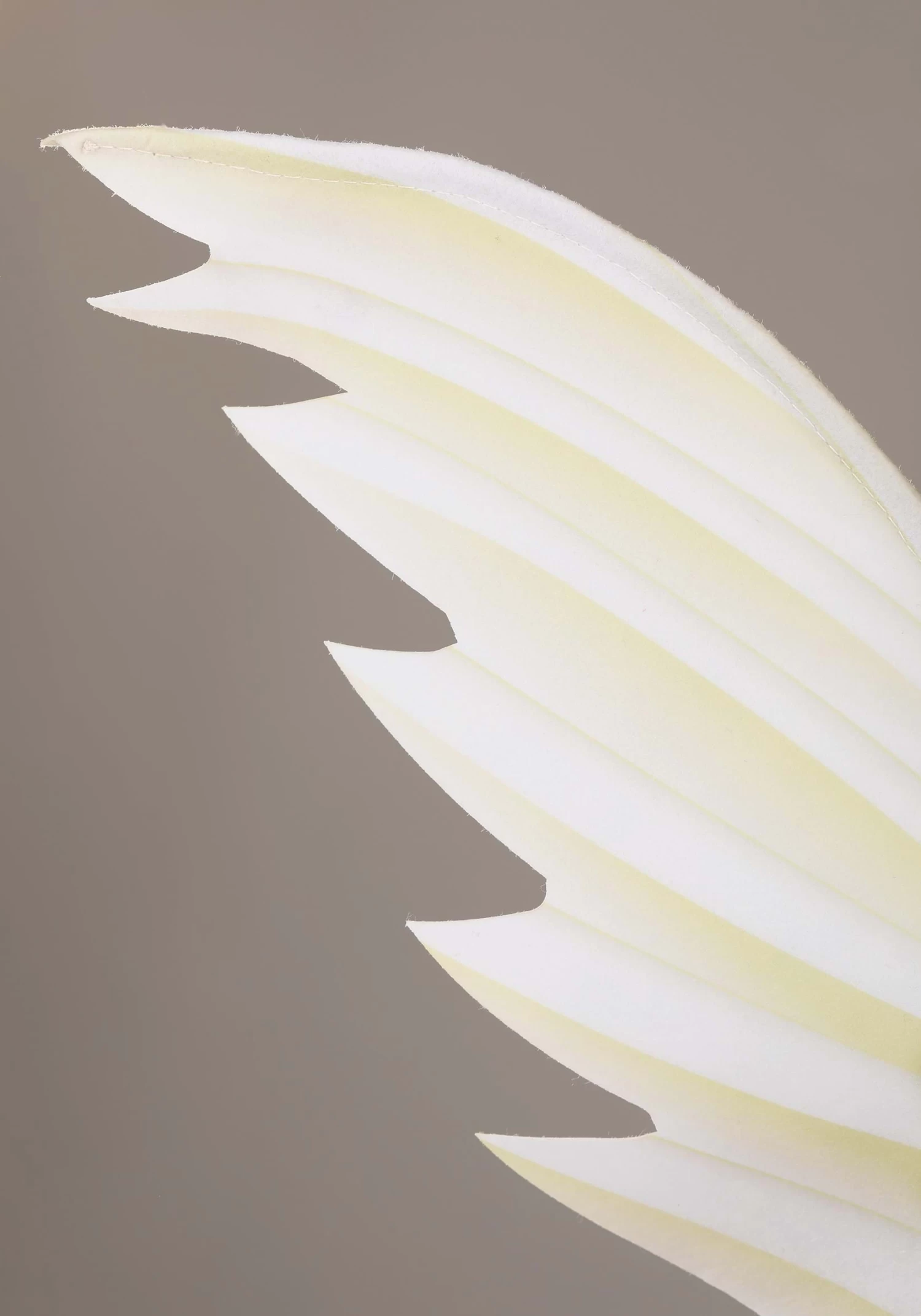 Angel And Devil Costume For Kids 7 Angel And Devil Costume For Kids - Image 5