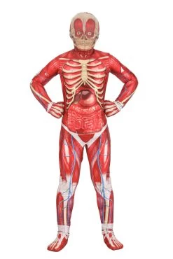 Anatomical Model Costume For Kids