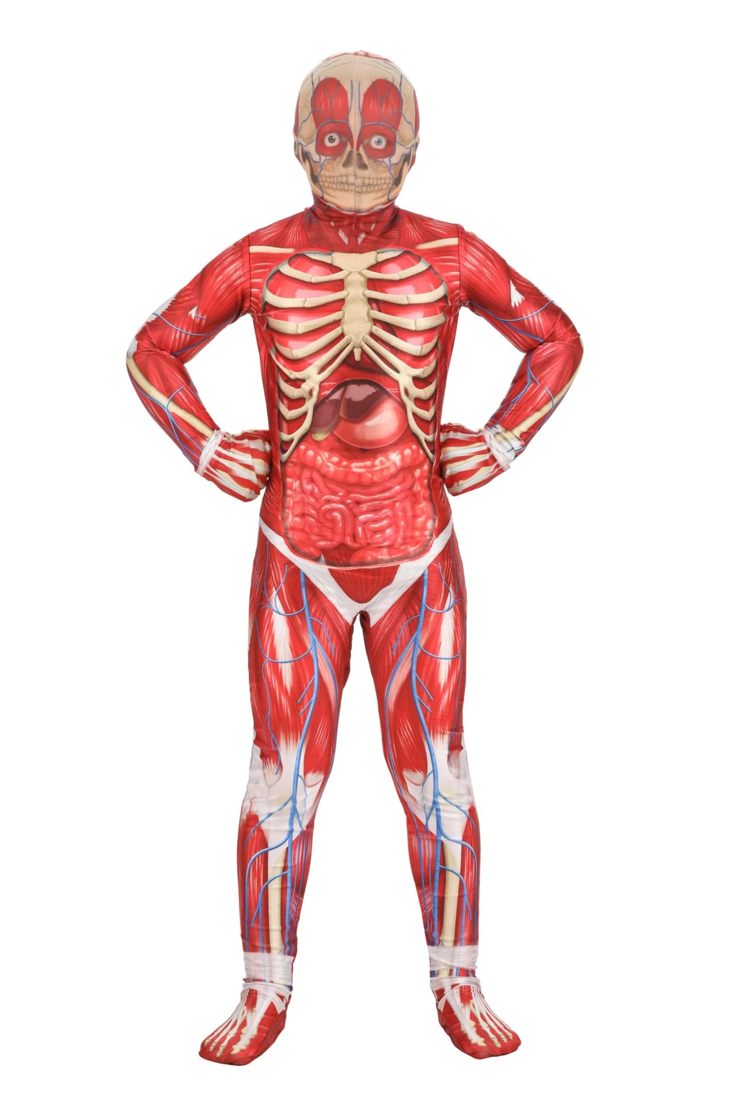 Anatomical Model Costume For Kids 3 Anatomical Model Costume For Kids
