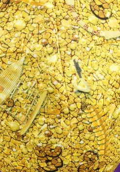 Disney Moana Tamatoa Costume For Kids -Halloween Costume Shop kids tamatoa costume alt 1