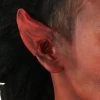 Devil Latex Ears