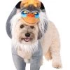 Lion King Rafiki And Simba Pet Costume