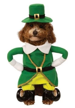 Lucky Walking Leprechaun Costume For Dogs