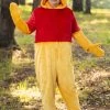 Adult Deluxe Plus Size Disney Winnie The Pooh Costume