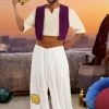 Plus Size Deluxe Disney Aladdin Costume For Men -Halloween Costume Shop plus size disney aladdin costume