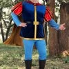 Plus Size Disney Sleeping Beauty Prince Phillip Costume For Men -Halloween Costume Shop plus size disney sleeping beauty prince phillip costume upda