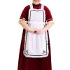 Women's Plus Size Holiday Mrs. Claus Costume Dress