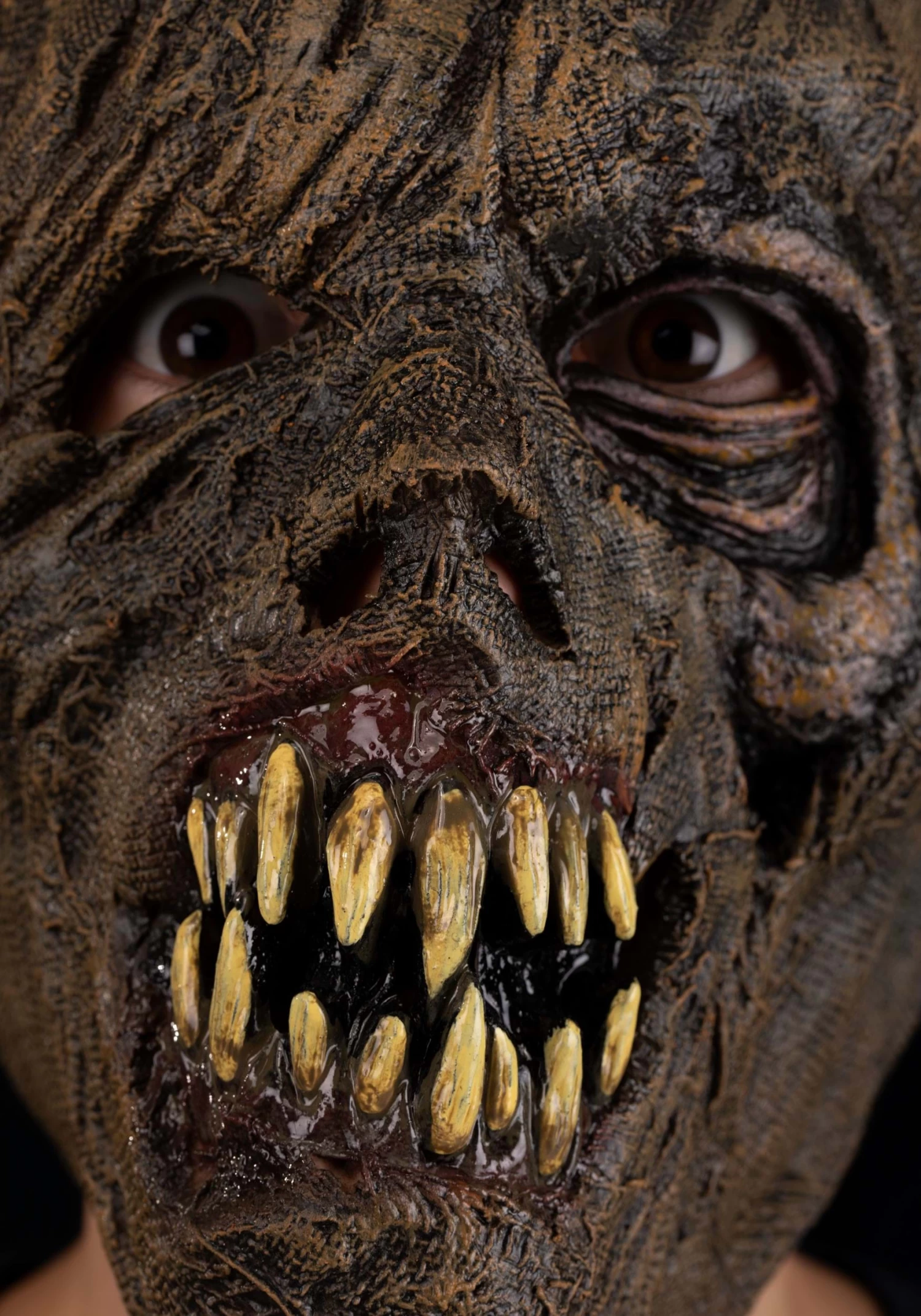 Scarecrow Full Face Mask For Adults 4 Scarecrow Full Face Mask For Adults - Image 2