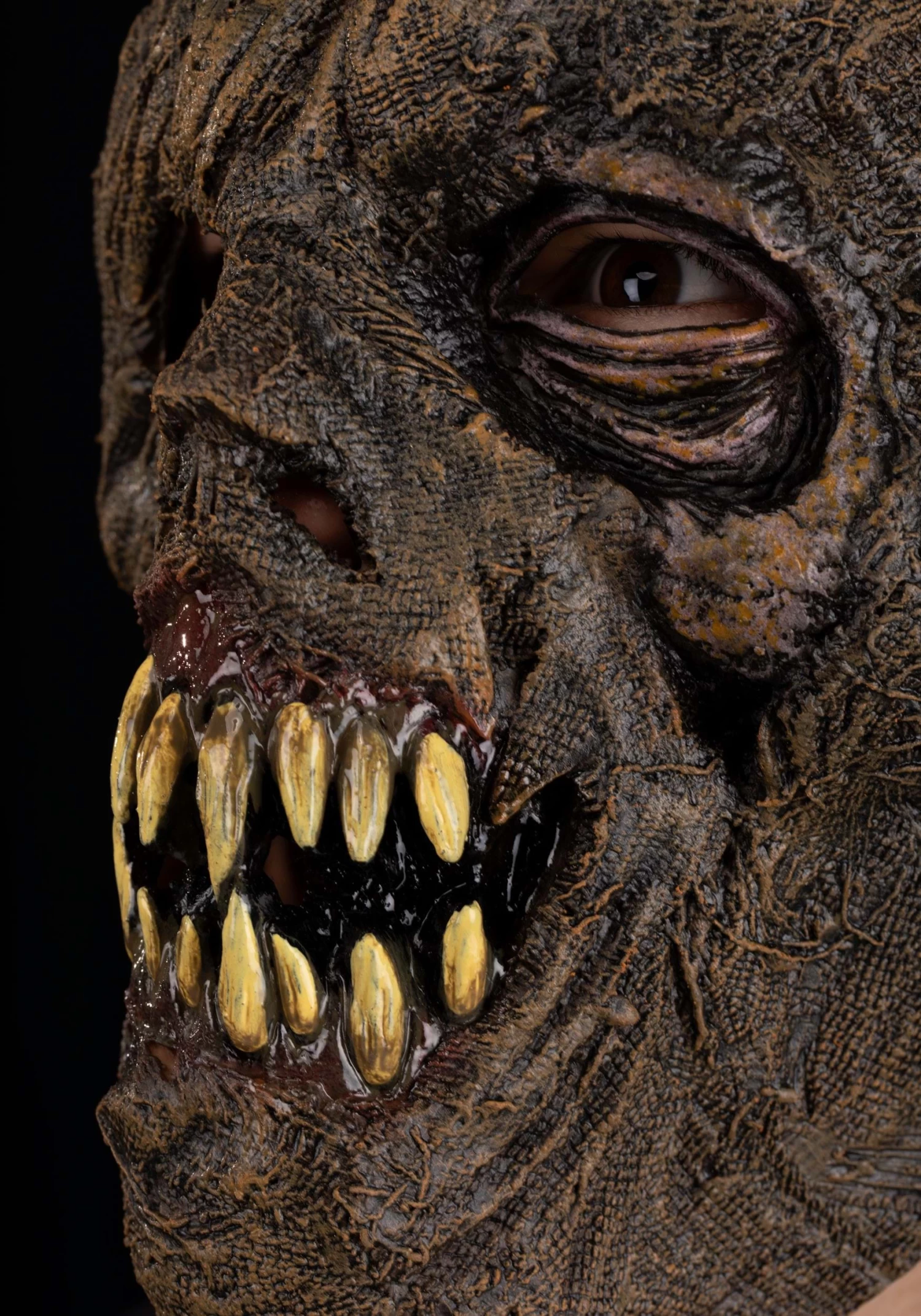 Scarecrow Full Face Mask For Adults 5 Scarecrow Full Face Mask For Adults - Image 3