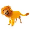 Disney The Lion King Simba Dog Costume 1 Disney The Lion King Simba Dog Costume -Halloween Costume Shop the lion king simba dog costume