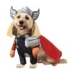 Avengers Thor Pet Costume