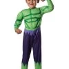 Deluxe Hulk Toddler Costume 2 Deluxe Hulk Toddler Costume -Halloween Costume Shop toddler deluxe hulk costume