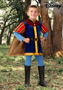Boy's Disney Sleeping Beauty Prince Phillip Toddler Costume