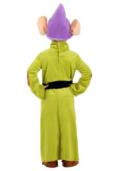 Dopey Costume For Toddlers From Disney's Snow White 15 Dopey Costume For Toddlers From Disney's Snow White -Halloween Costume Shop toddler snow white dopey costume alt 1