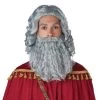 Wise Man Gray Wig And Beard For Men -Halloween Costume Shop wise man gray wig and beard