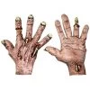 Zombie Flesh Hands 1 Zombie Flesh Hands -Halloween Costume Shop zombie flesh hands